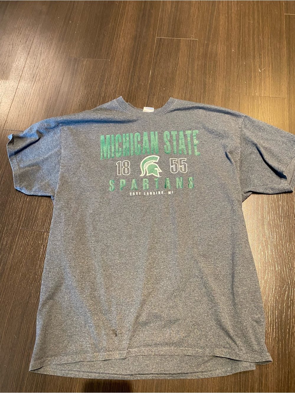 Michigan State Spartans Men's Gray 1855 T-shirt